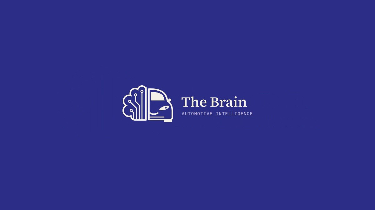 The Brain